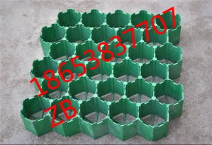 臨沂植草格 塑料植草格批發與建筑建材應用特點